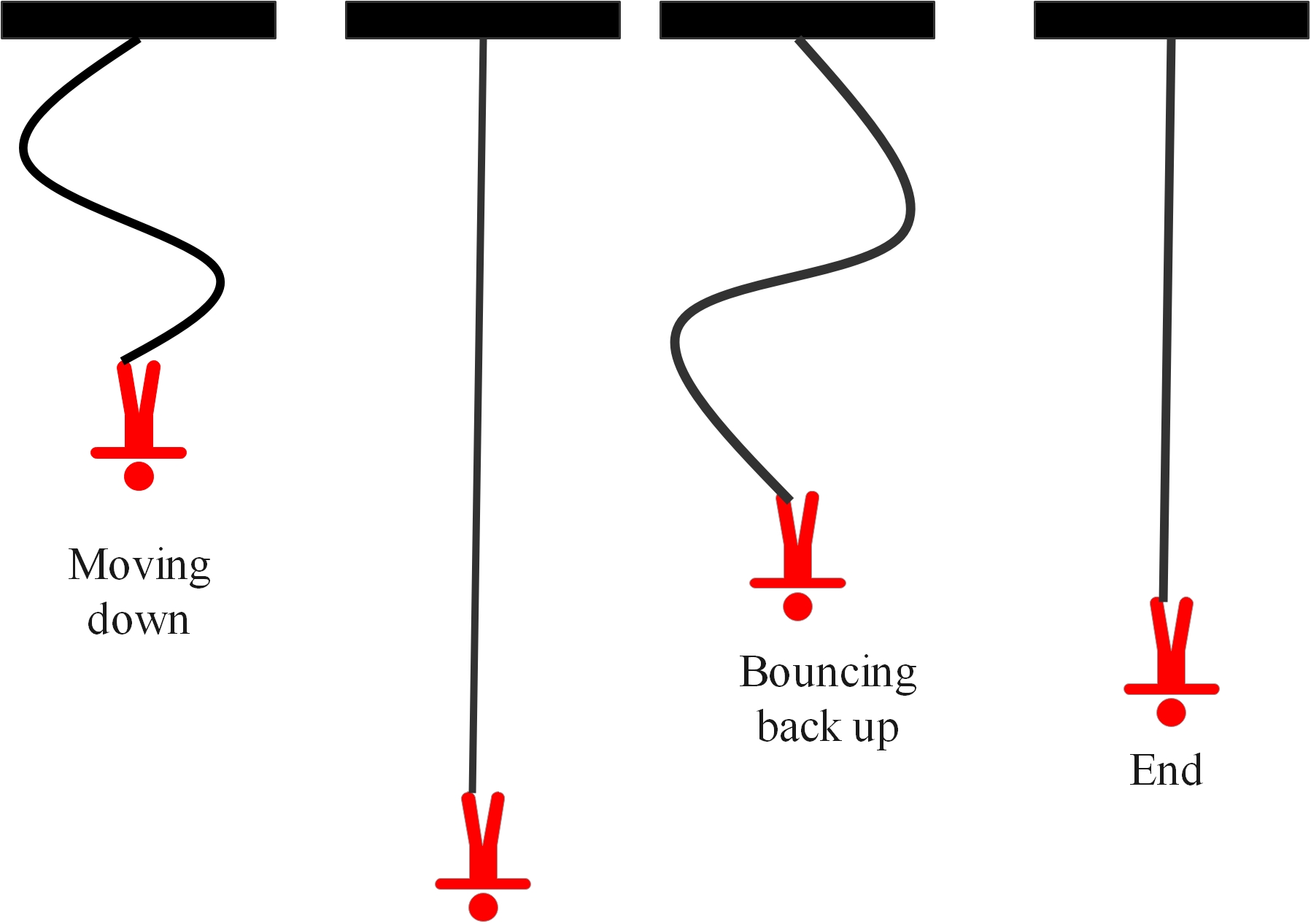Bungee jumper